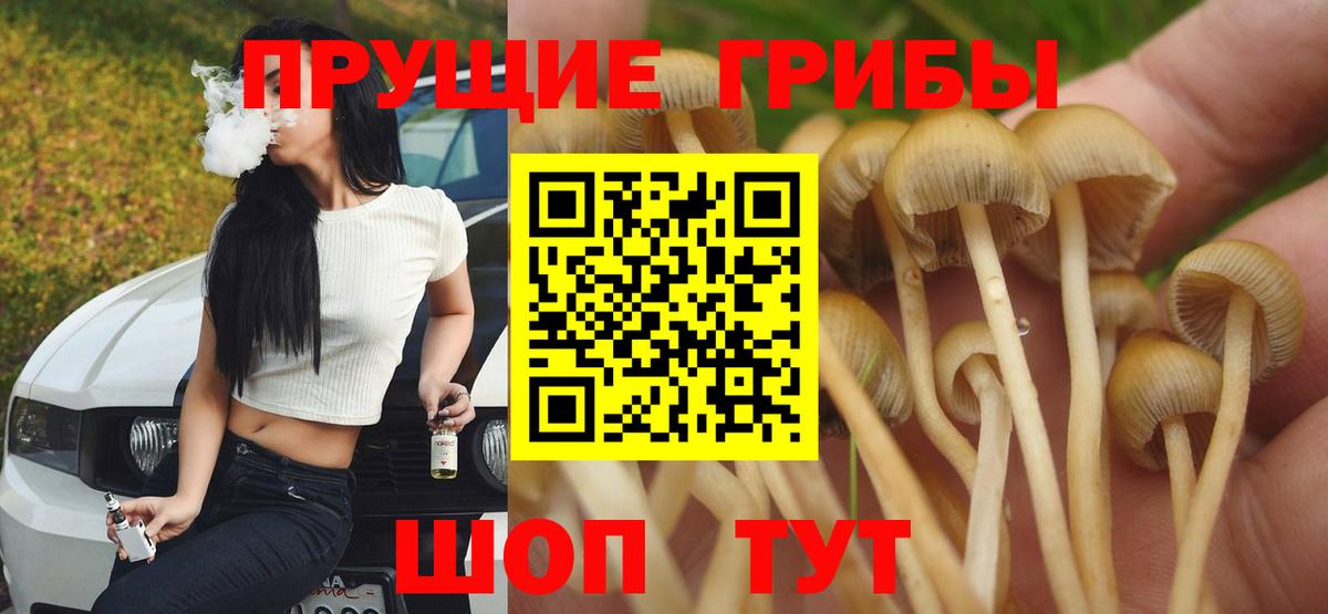 Псилоцибиновые грибы мухоморы  Галлюциногенные грибы Psilocybe  Томск  Вход с VPN 
